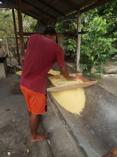 Sob um telhado de palha, com a floresta ao fundo, um homem de costas produz farinha no modo tradicional das comunidades indígenas