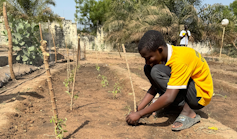 Due to this fact, we lend a hand rehabilitate minors with useful selection in Senegal 1 file 20241226 15 9o12rx.png?ixlib=rb 4.1