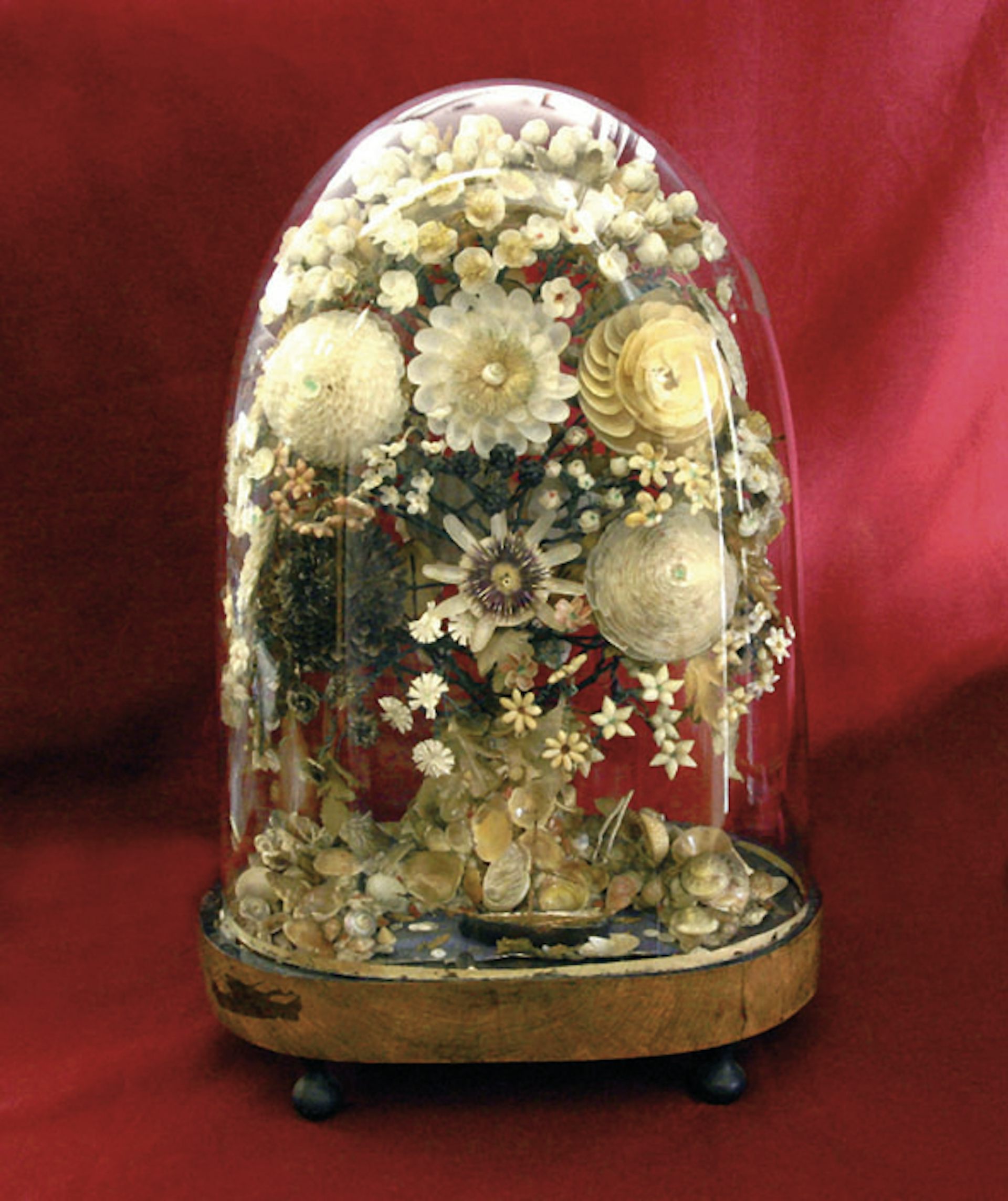 Cloche