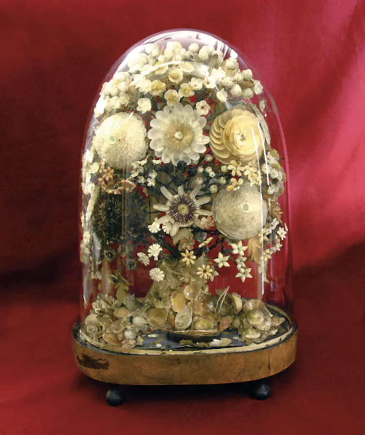 Cloche