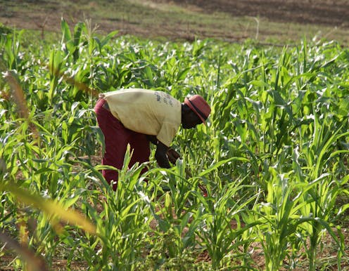 What Ghana’s small businesses can teach the world about becoming more sustainable