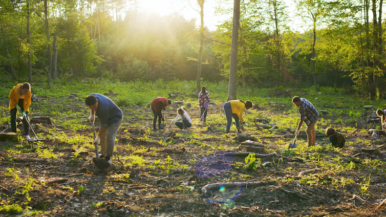 Group of people with spades in forest clearing.