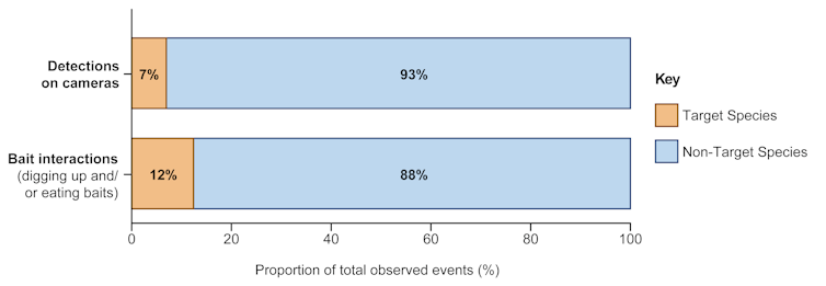 Bar graph depicting the percentage of detections and bait interactions (animals digging up and/or eating baits) by target (foxes or dingoes) and non-target species.