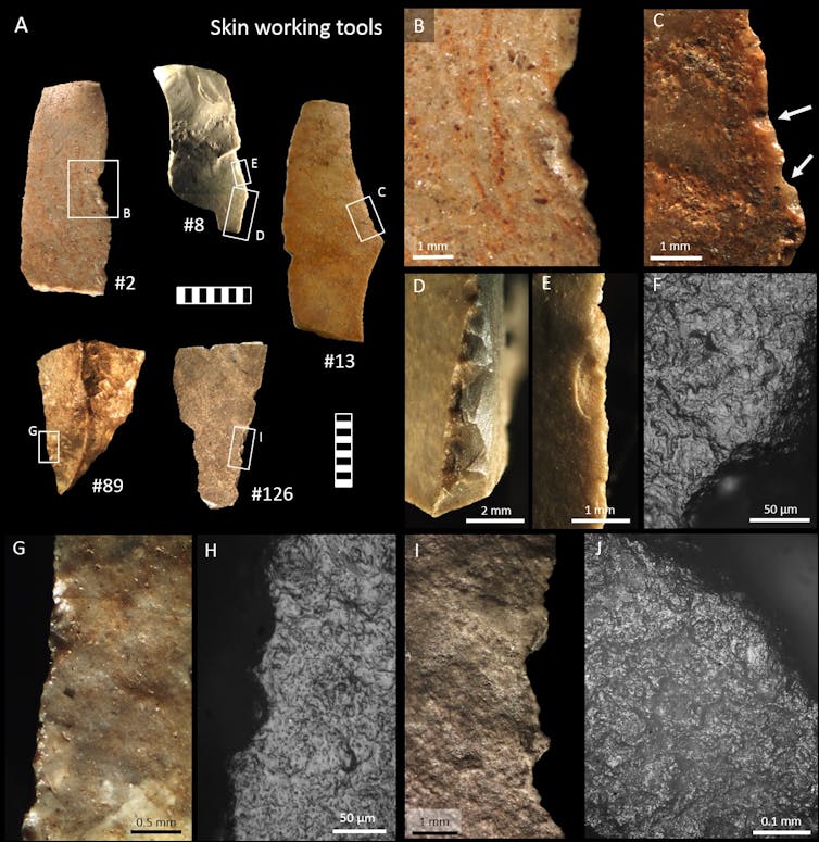 Figure showing various stone tools.