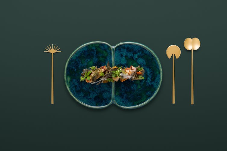 A beautifully plated dish.