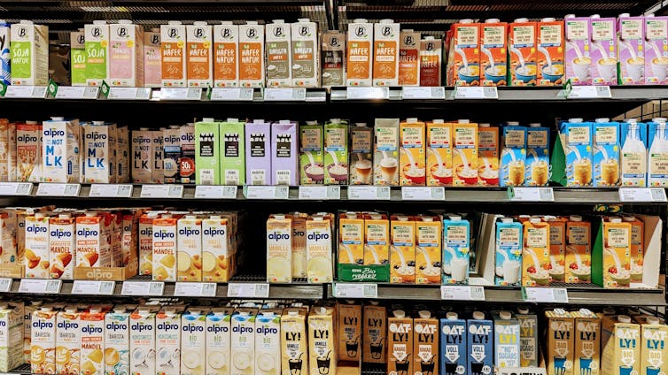 A full shelf of non-dairy alternatives in a supermarket.