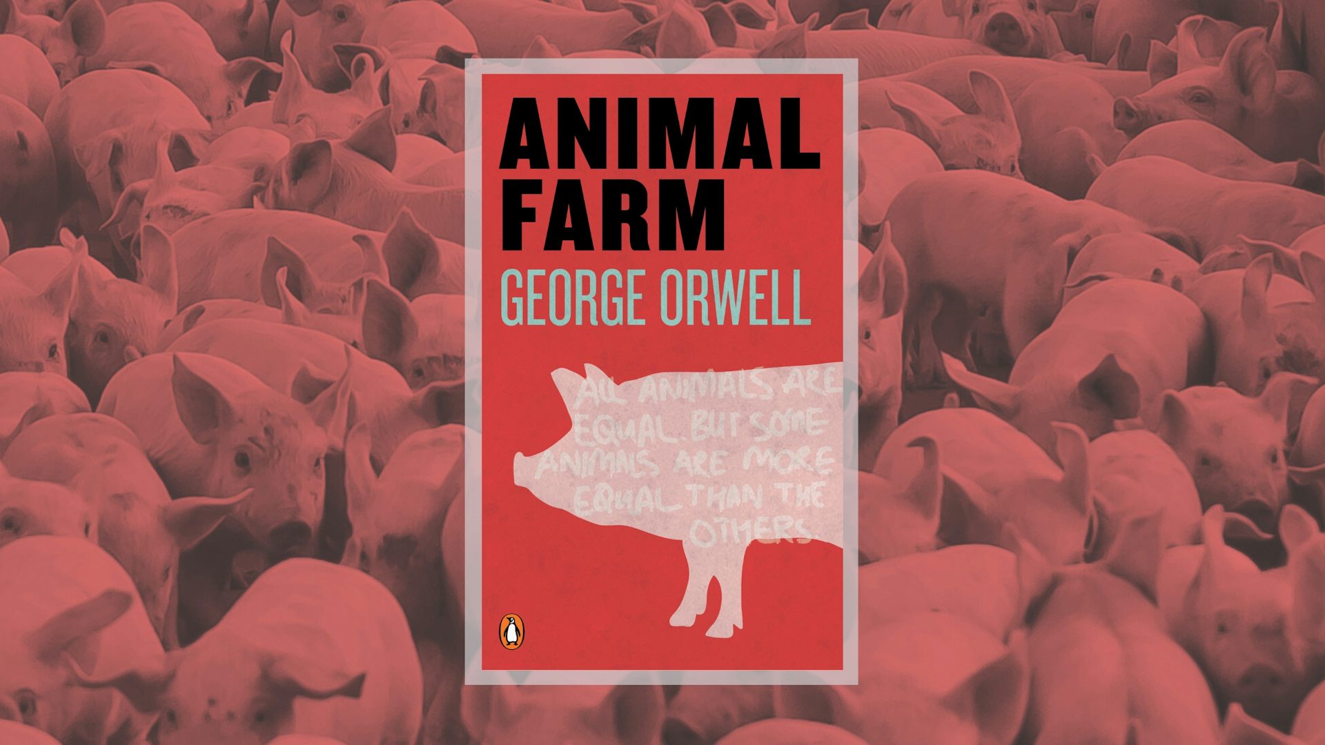 Animal Farm book cover and photo of lots of pigs