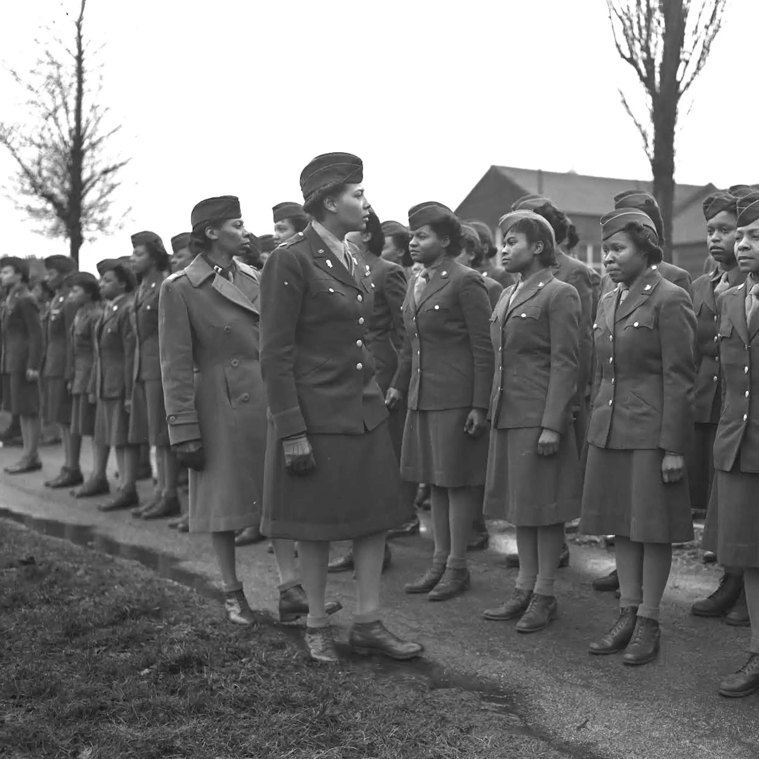 Black women in army uniform, lined up for inspection