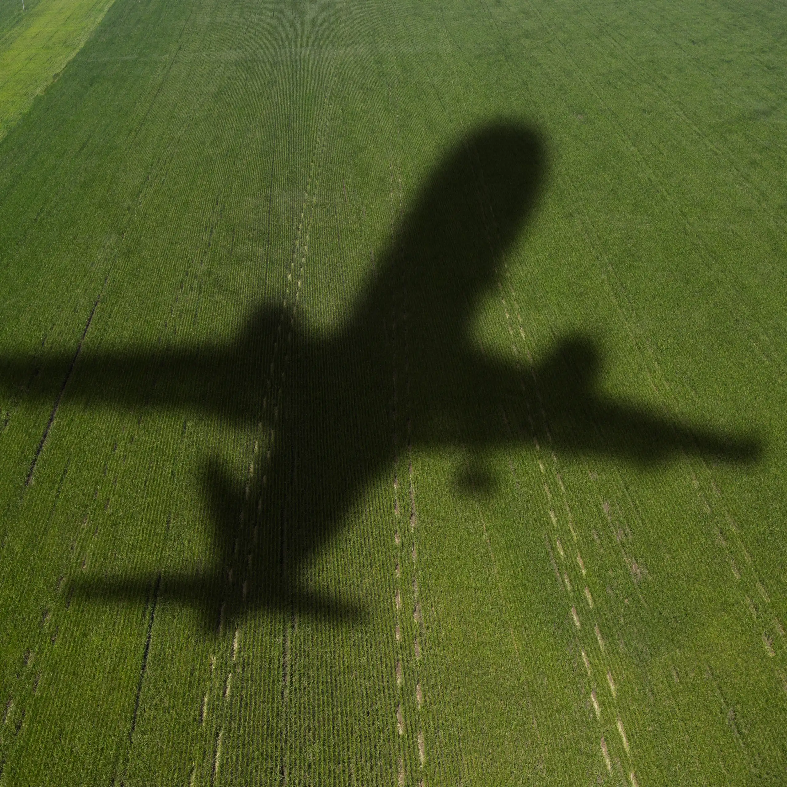 shadow of airplane on green field