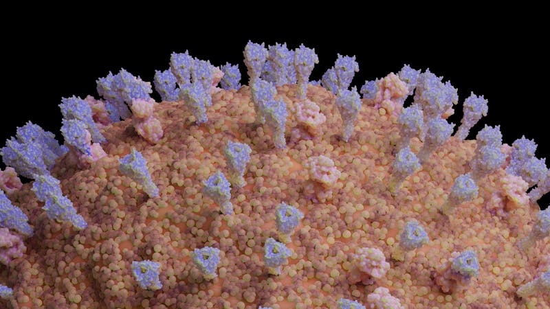 ¿Es peligroso el metapneumovirus humano (HMPV) que ha desatado la alarma en China? ¿Es peligroso el metapneumovirus humano (HMPV) que ha desatado la alarma en China?