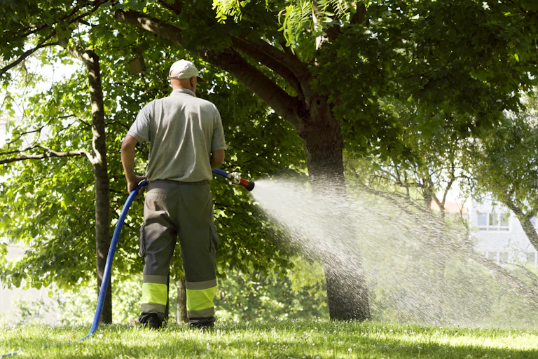 A man waters some trees.