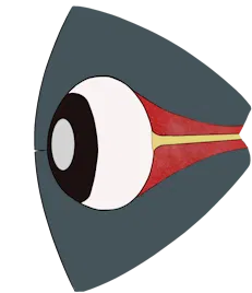 Animacion del cuerpo cavernoso del ojo de una ballena
