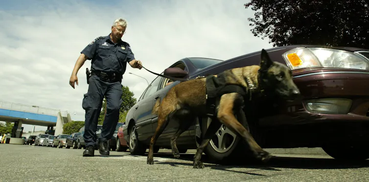 Un policier accompagné d’un chien renifleur d’explosifs en laisse marche à côté d’une longue file de voitures à un poste-frontière