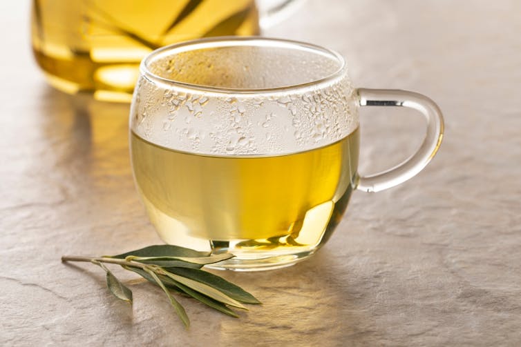 Olive leaf tea in glass cup on counter, olive leaves in front of cup