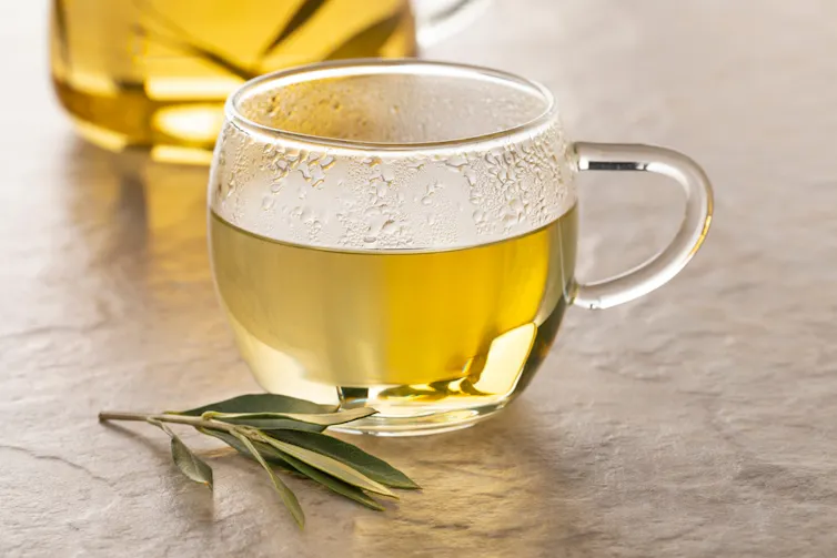 Olive leaf tea in glass cup on counter, olive leaves in front of cup