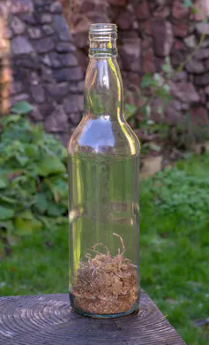 ~5 grams of dry peat in a 70cl bottle