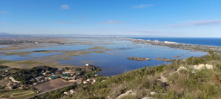 Paisaje de una albufera compuesta por lagunas