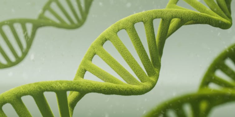 Concept of green DNA helix