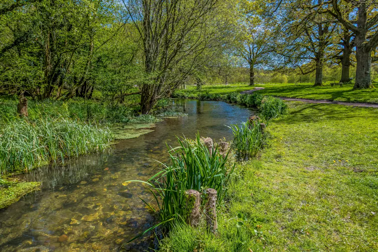 Stream in English countryside