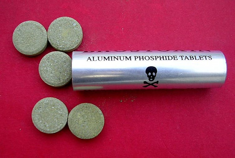 A metal cylinder labeled 'aluminum phosphide tablets' with a skull and crossbones, with five gray tablets next to it.