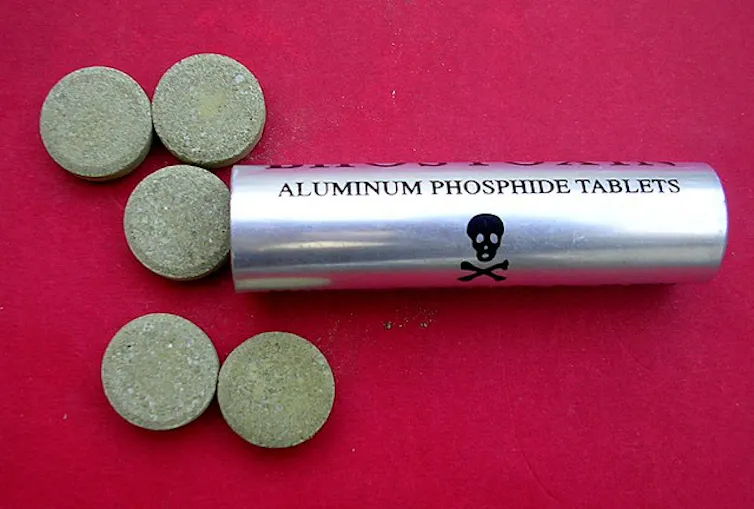 A metal cylinder labeled 'aluminum phosphide tablets' with a skull and crossbones, with five gray tablets next to it.
