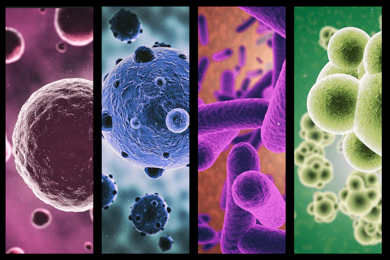 Cinco painéis com ilustrações em 3D de diferentes formas e cores de micróbios