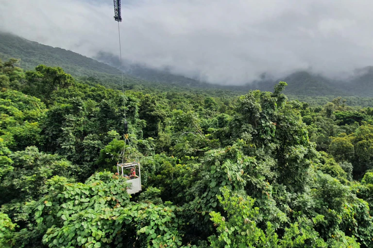 Panoramic view of a cloud-shrouded rainforest.
