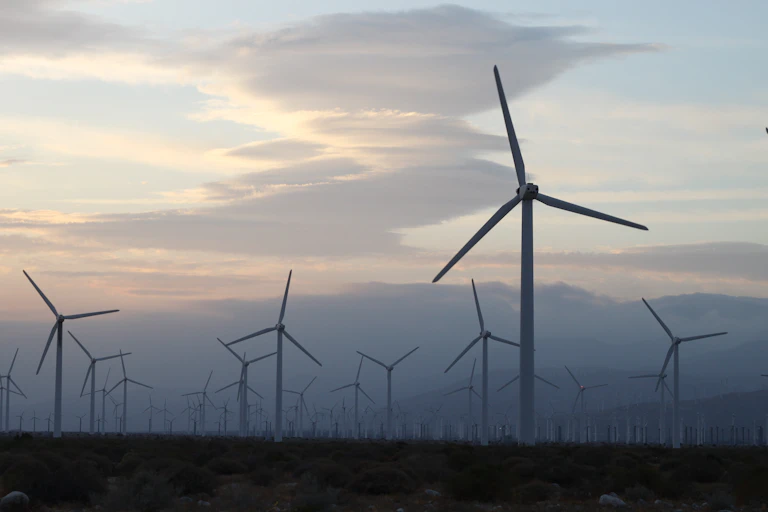 Wind farm