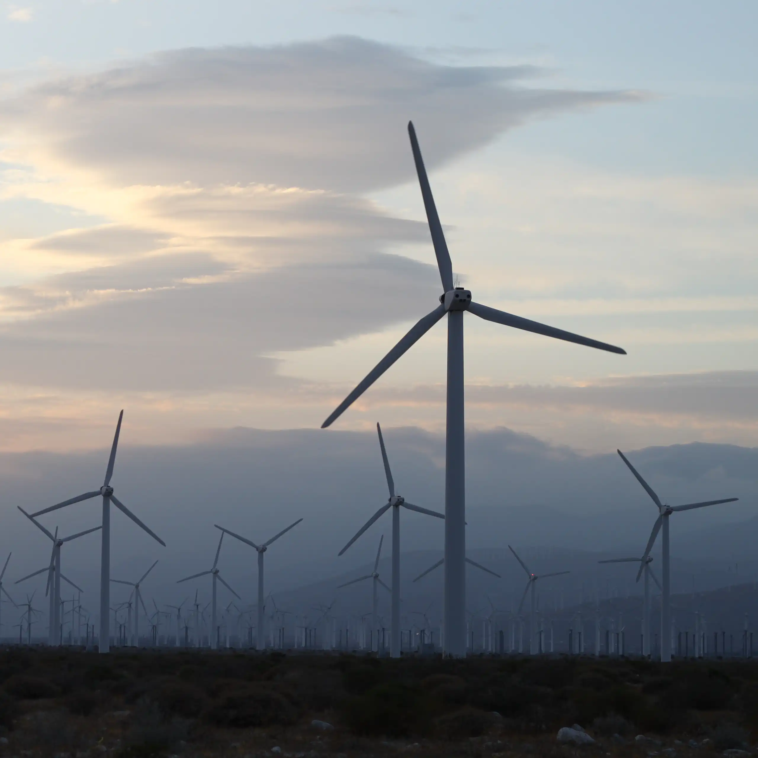 Wind farm