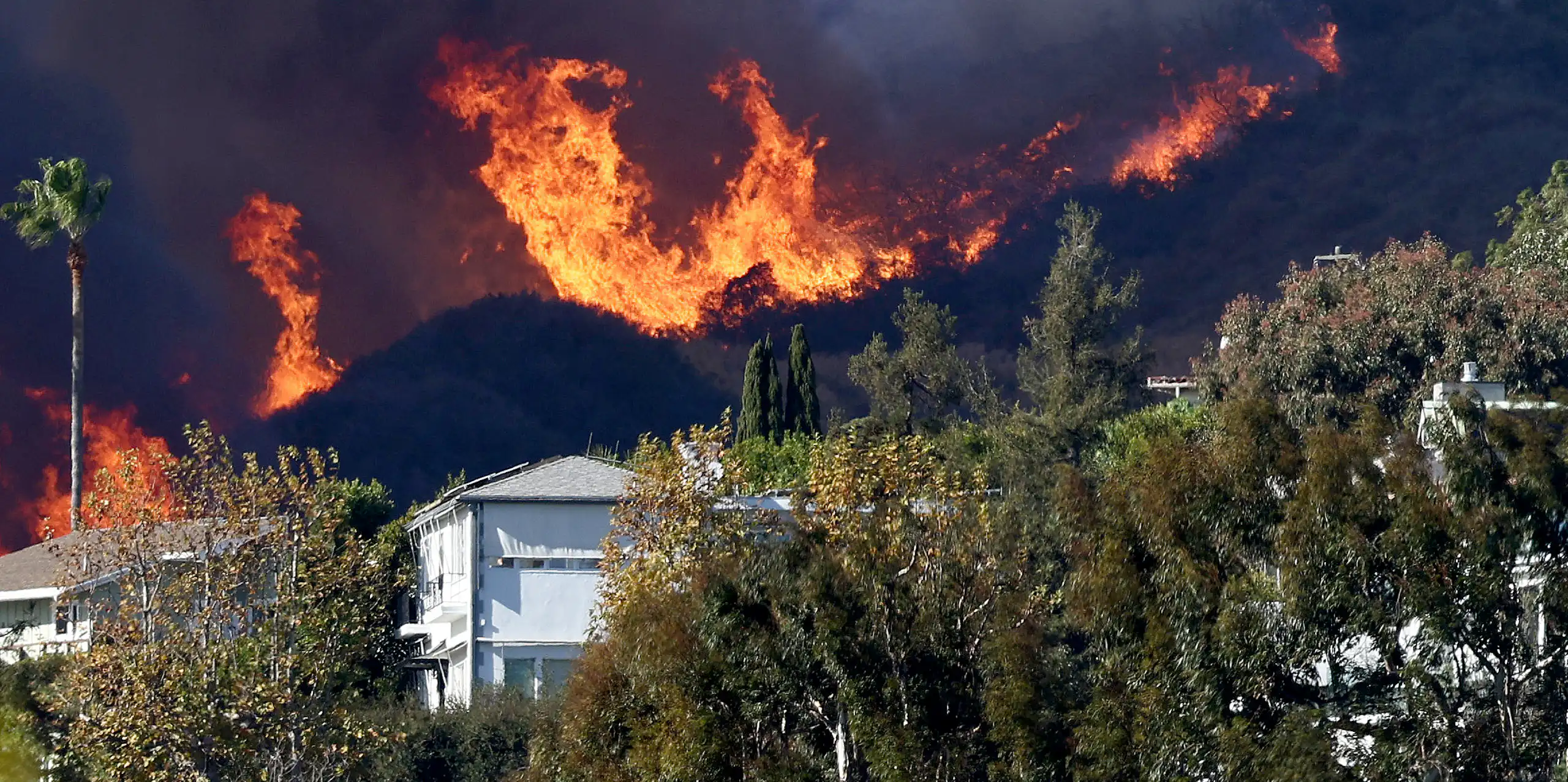 Fires burn in the hills behind Pacific Palisades houses with dry vegetation surrounding them.