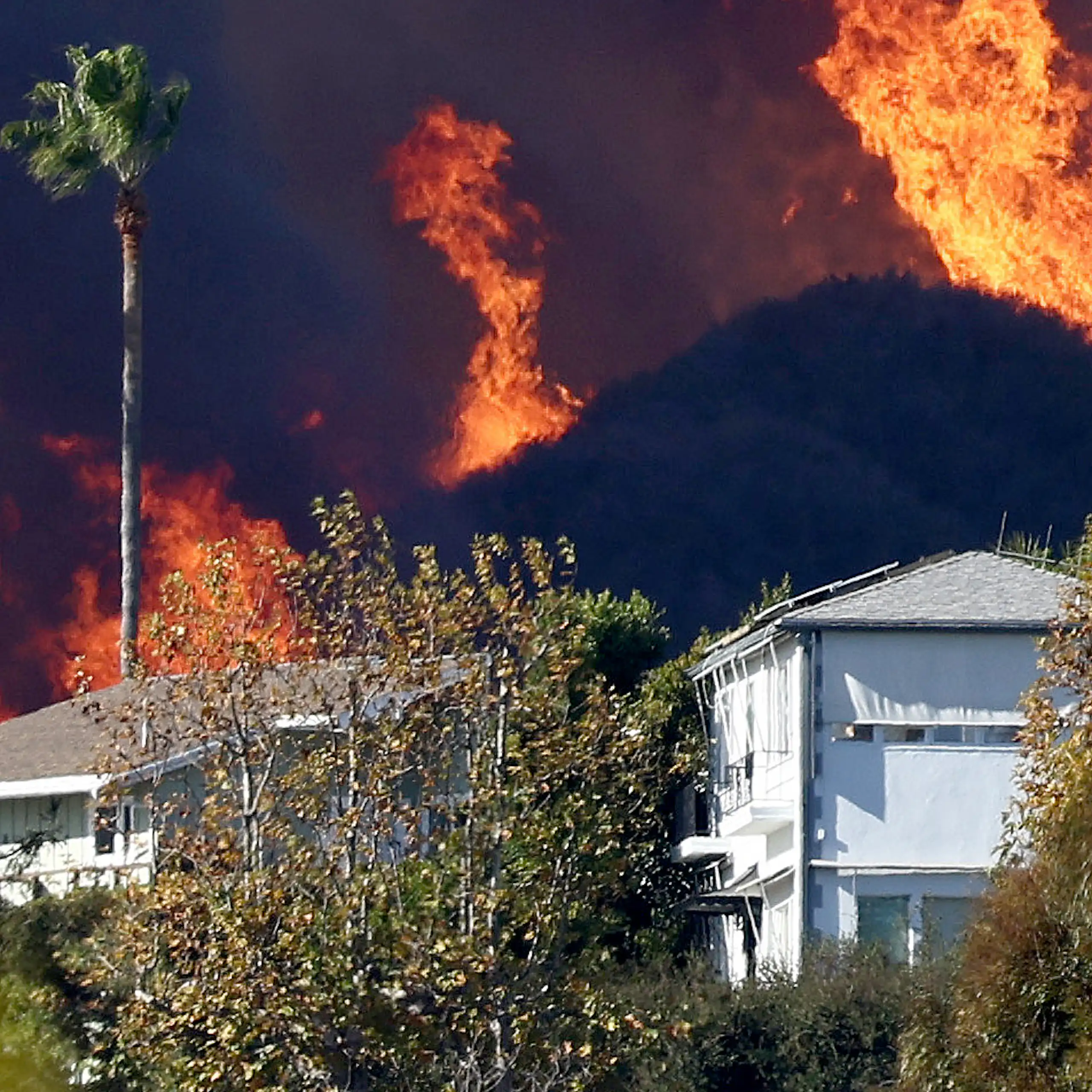 Fires burn in the hills behind Pacific Palisades houses with dry vegetation surrounding them.