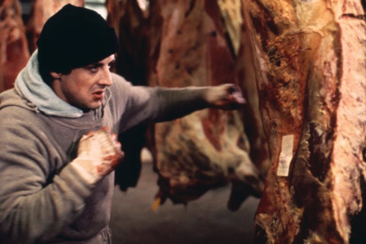 A man wearing grey sweatshirt and black beanie hat jabs at a hanging meat carcass