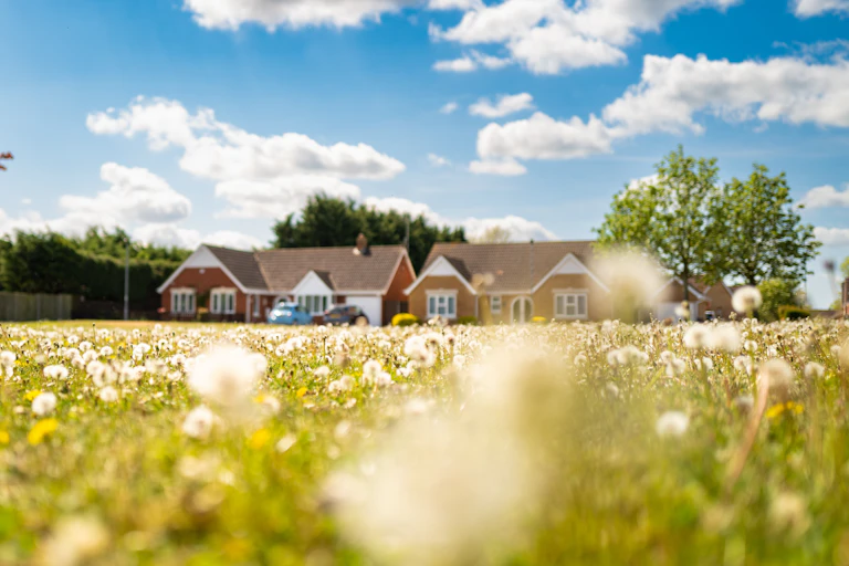 new housing in background, wildflower meadow in foreground, blue sunny sky