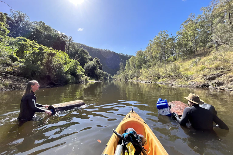 Photo showing two researchers placing hollow logs in the Mary River