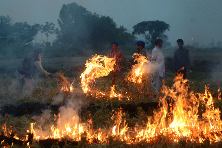 Des agriculteurs brûlent de la paille de riz au nord de l’Inde.