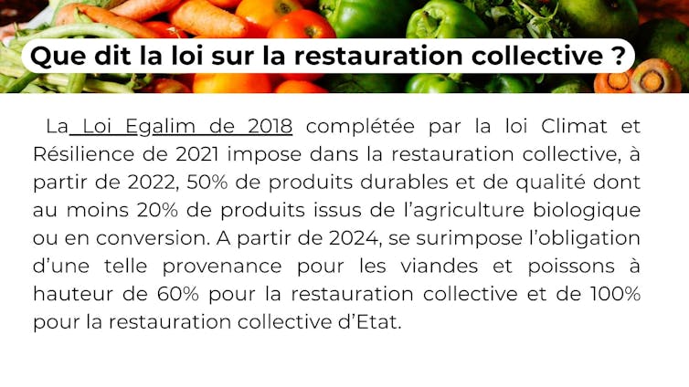 May well be impartial when it comes to meals? 4 file 20250114 15 fvdxqy.jpg?ixlib=rb 4.1