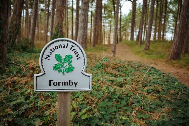 A National Trust sign in a woodland.
