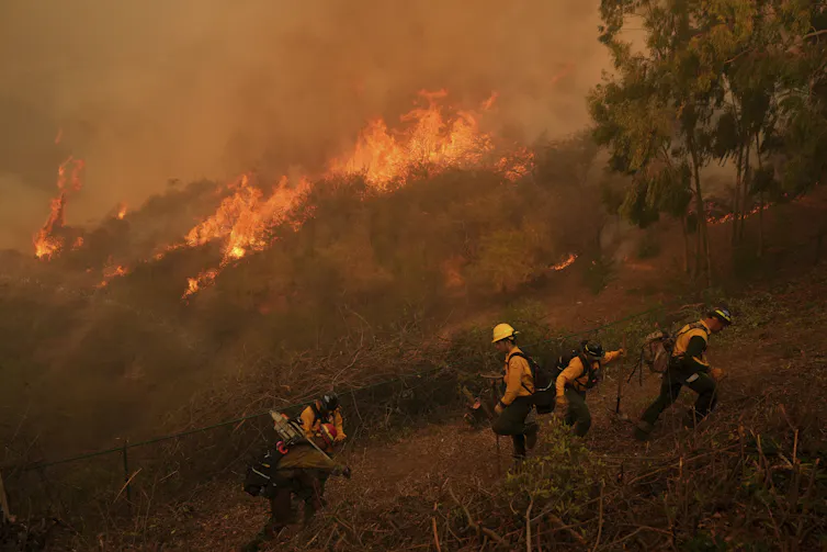 Firefighters fighting the fires in Los Angeles.