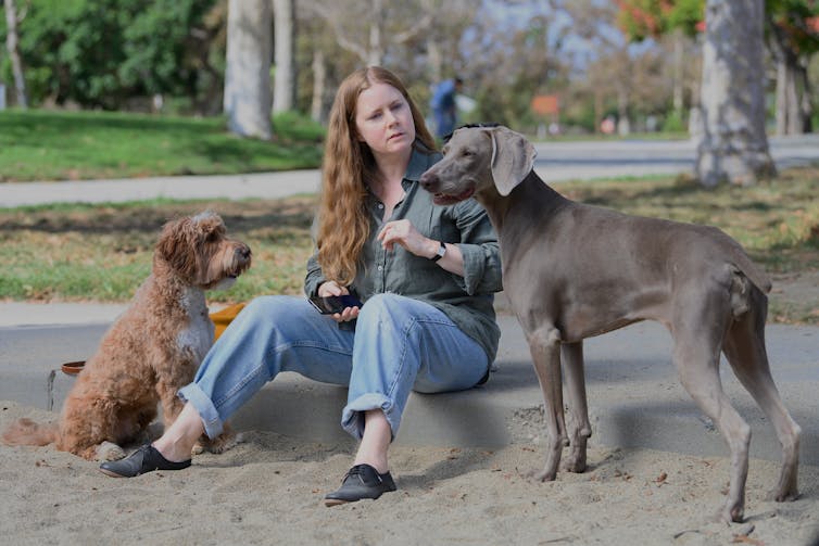 A woman in a park with two dogs.