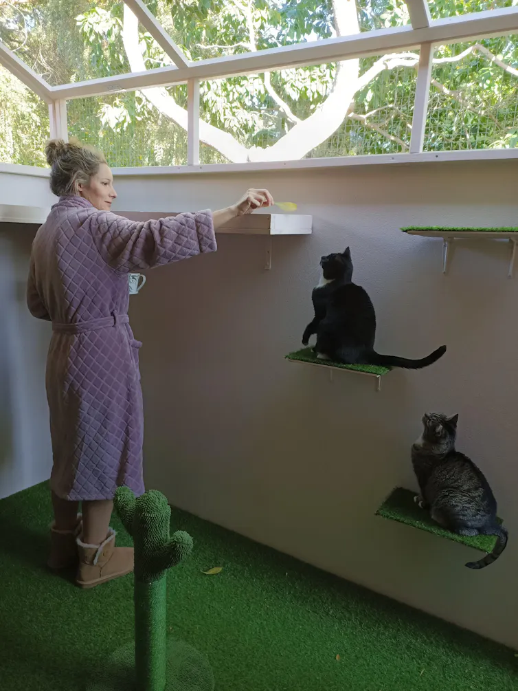 A woman in a dressing gown and uggboots stands alongside two pet cats resting on platforms in their secure enclosure, with a view of the outdoors through the roof.
