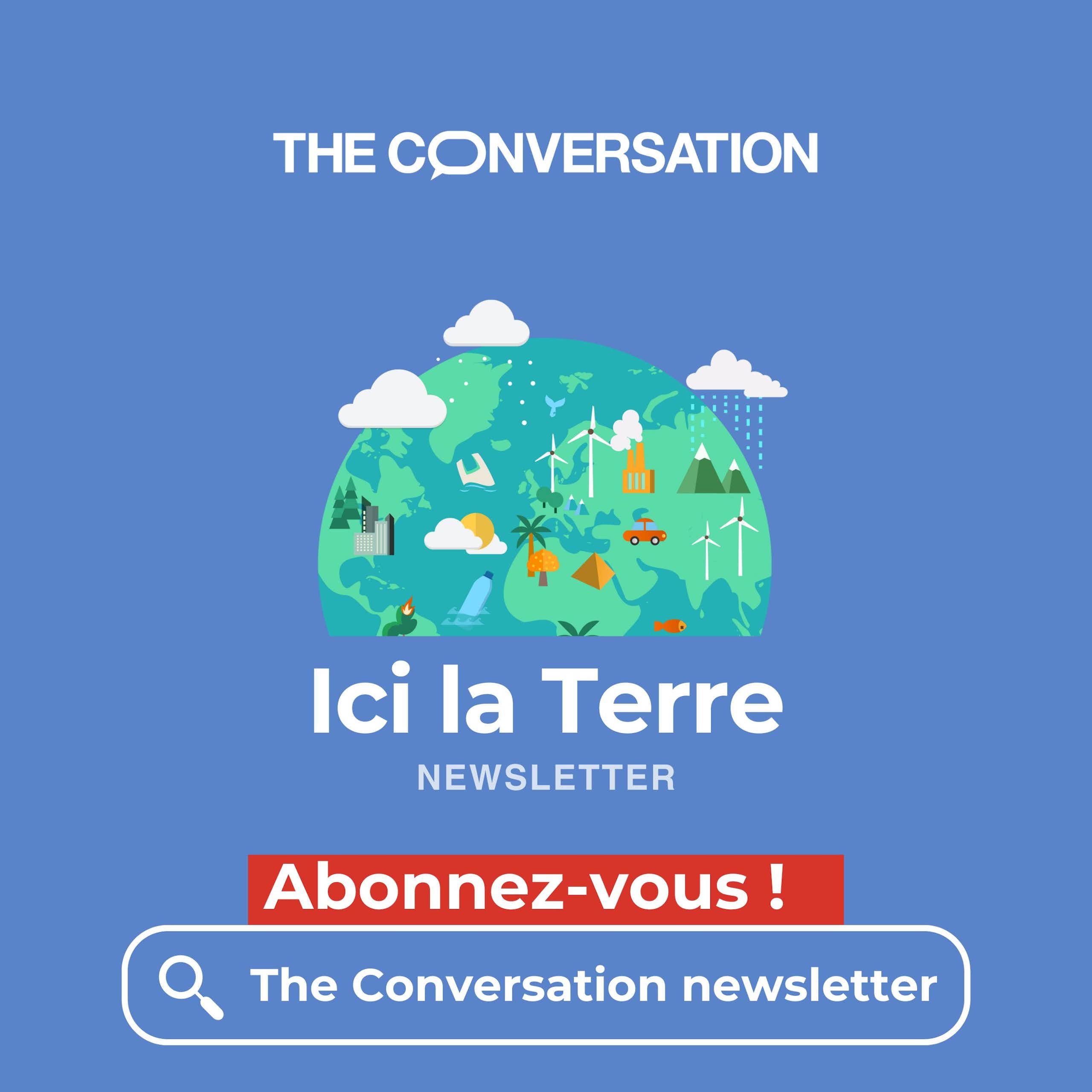 Des fougères en bichromie vert et bleu avec le texte "Ici la Terre"