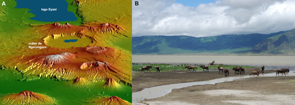 Los primeros humanos europeos frecuentaban los spas?