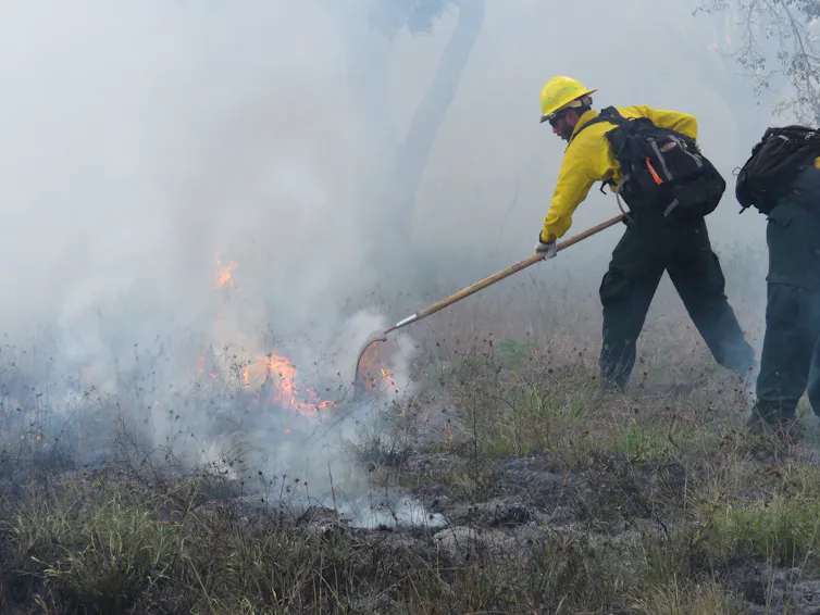 A firefighter in protective garb uses a shovel to control the edge of a brush fire.