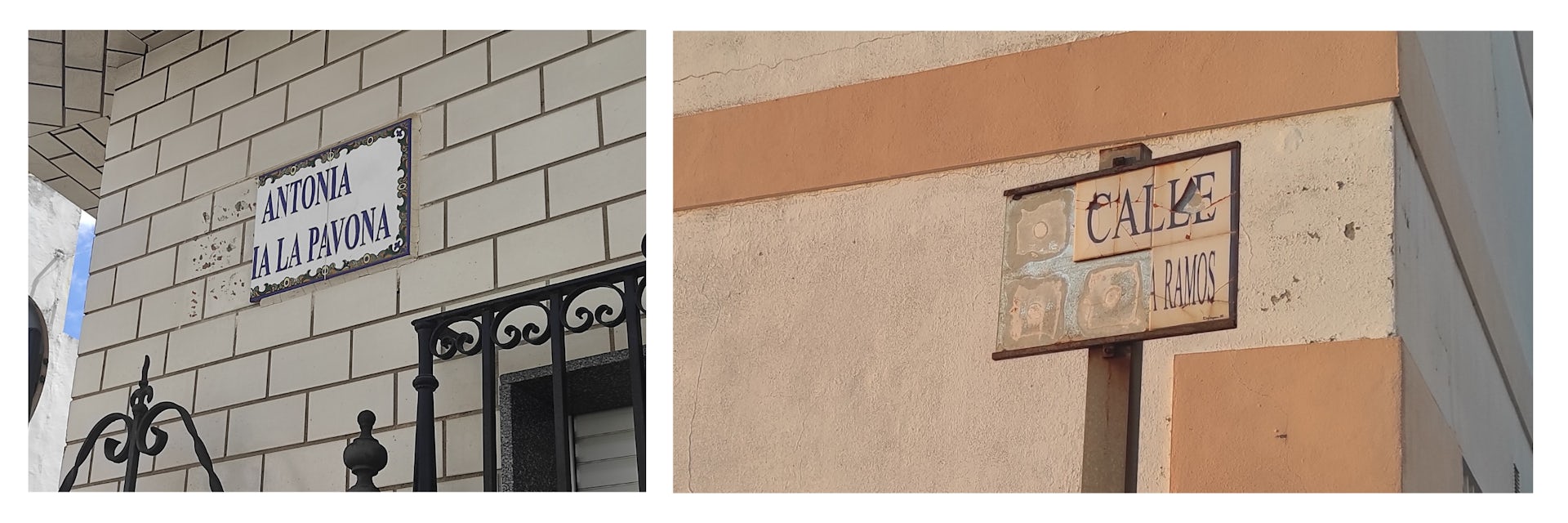 file 20250117 15 rmyw9.jpg?ixlib=rb 4.1