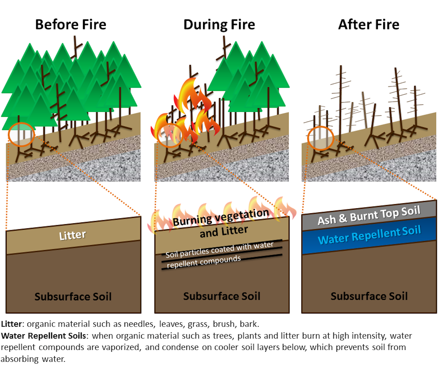Three illustrations show changes to the soil before, during after fires.