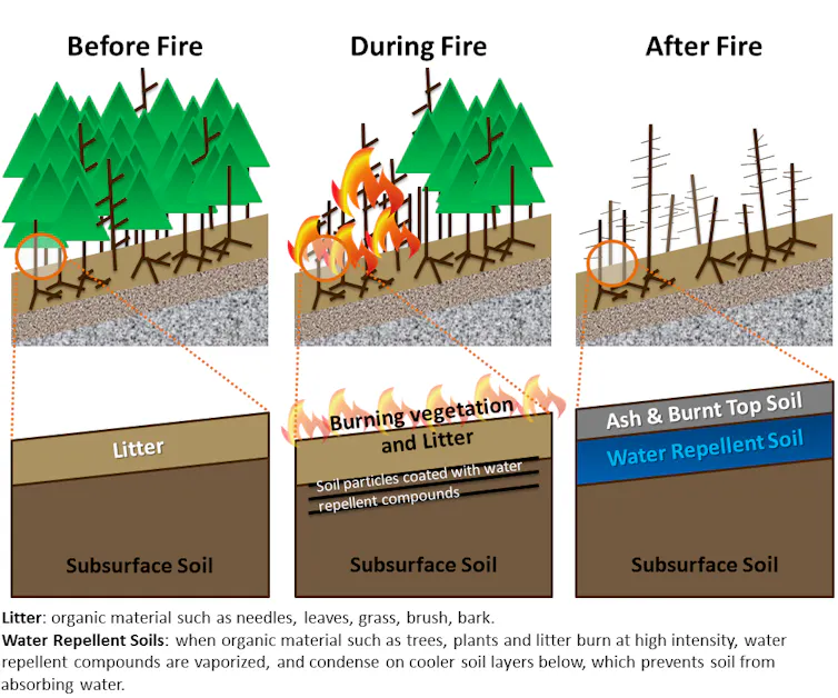 Three illustrations show changes to the soil before, during after fires.