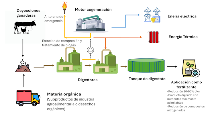 Waste for the manufacturing of biopean producers: Biofuels and uncooked fabrics for the impulse of inexperienced applied sciences 1 file 20250120 17 5o703f.png?ixlib=rb 4.1