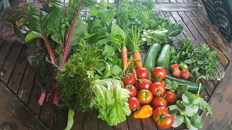 May well be impartial when it comes to meals? 1 ILE -DE -DRANCE PRODUCTION.