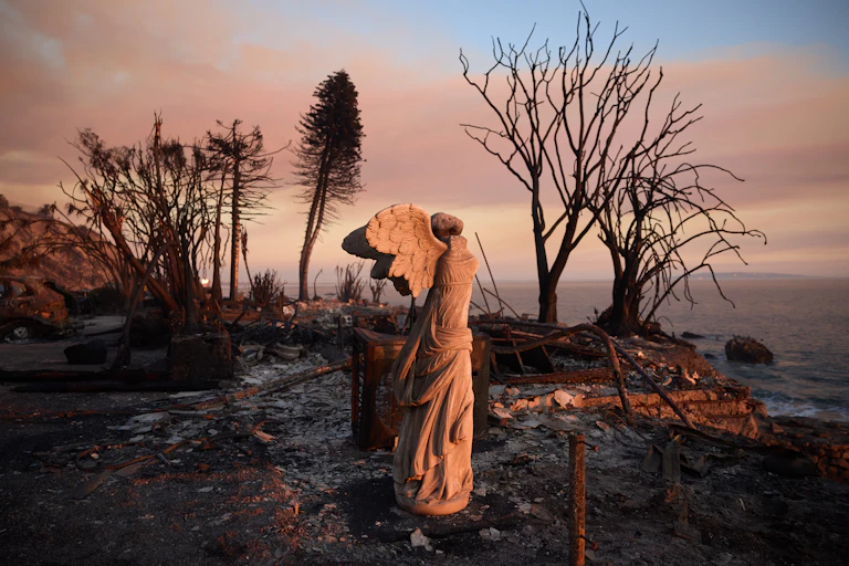 statue in burned area beside the sea