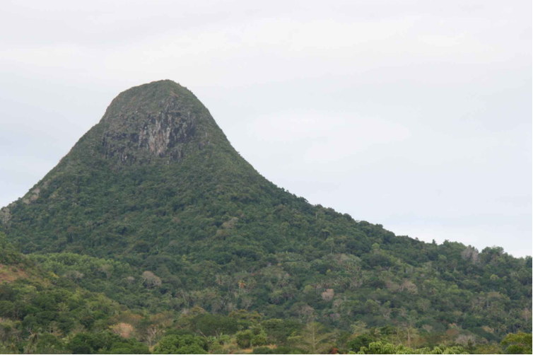 What recovery of Maiotte wooded area, a globally sizzling sizzling position, after Chido Ciclone? 2 file 20250120 17 pnvz7q.png?ixlib=rb 4.1